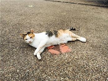 《华纳大乱斗》成美国7月份最赚钱的电子游戏