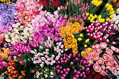 《超级马里奥RPG》官网公布一批全新游戏截图