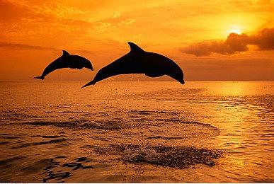 官方Steam Deck基座延期发布 不影响掌机本体销售